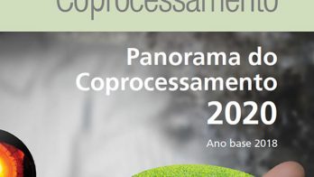 coprocessamento_2020_610x771